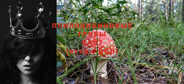 MDMA Куйбышев